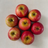 Baby Apples - ROYAL DELICIOUS 